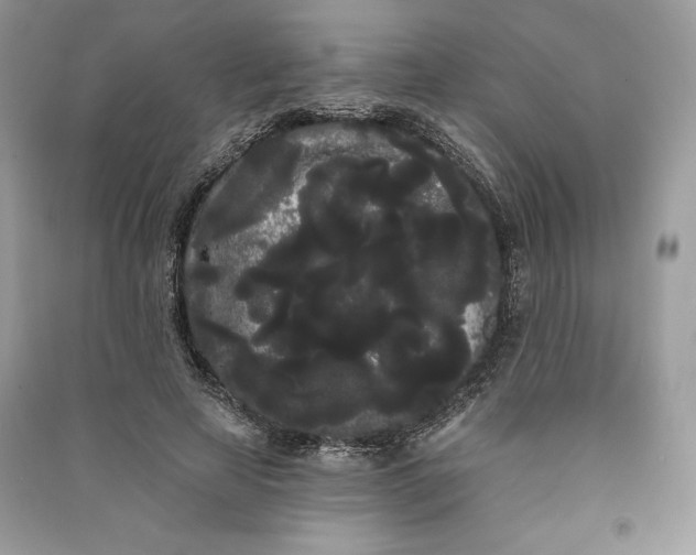 X0000090710641200708101506