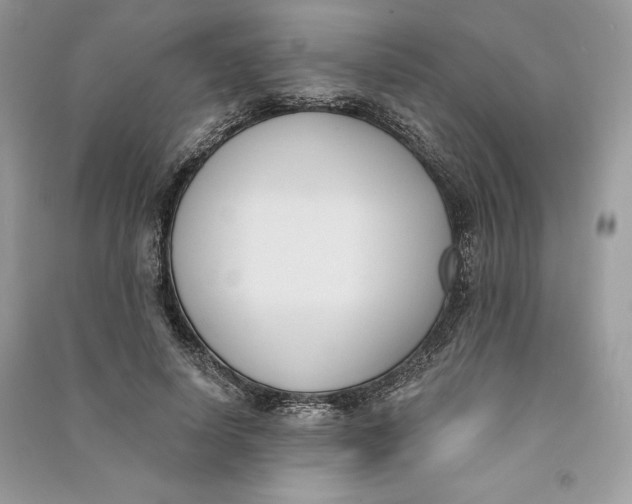 X0000090710642200708101506