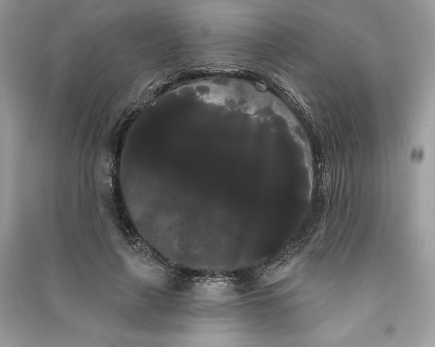 X0000090710643200708101506