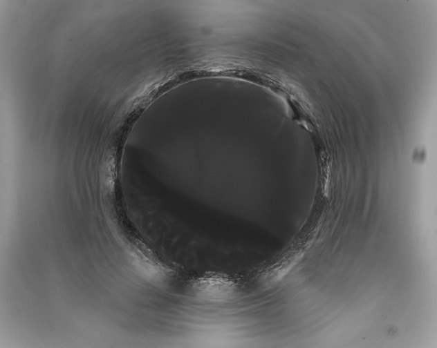 X0000090710644200708101506