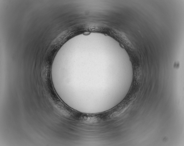 X0000090710645200708101506