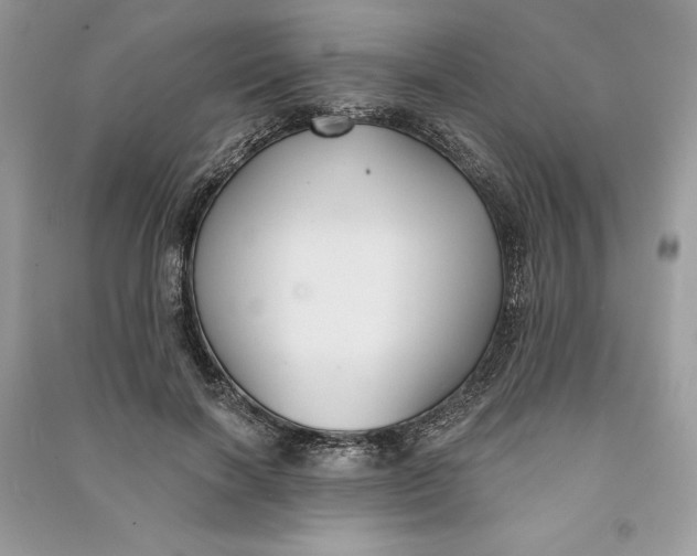 X0000090710646200708101506