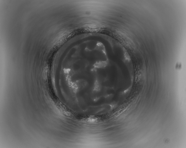 X0000090710647200708101506