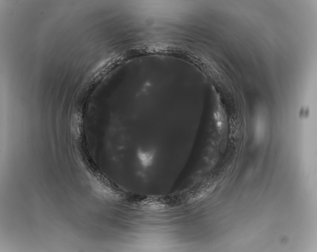 X0000090710648200708101506