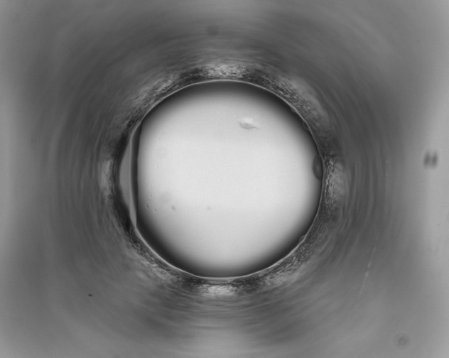 X0000090710649200708101506