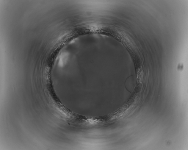 X0000090710650200708101506