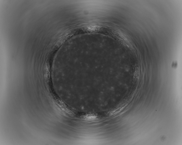 X0000090710651200708101506