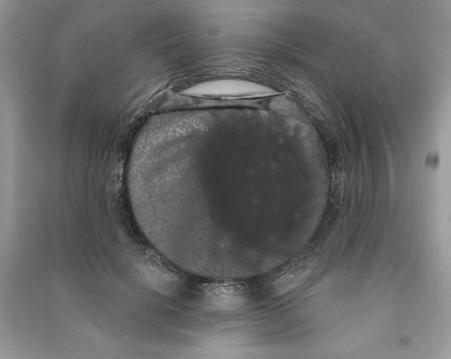 X0000090710652200708101506