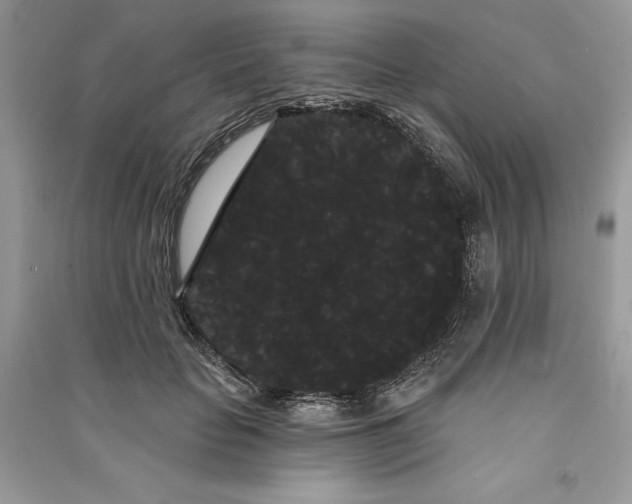 X0000090710653200708101506