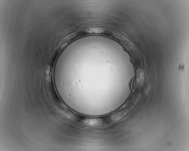 X0000090710655200708101506