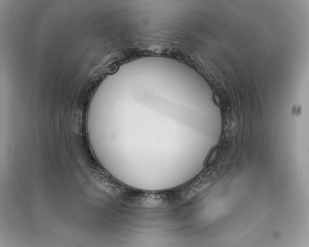 X0000090710656200708101506