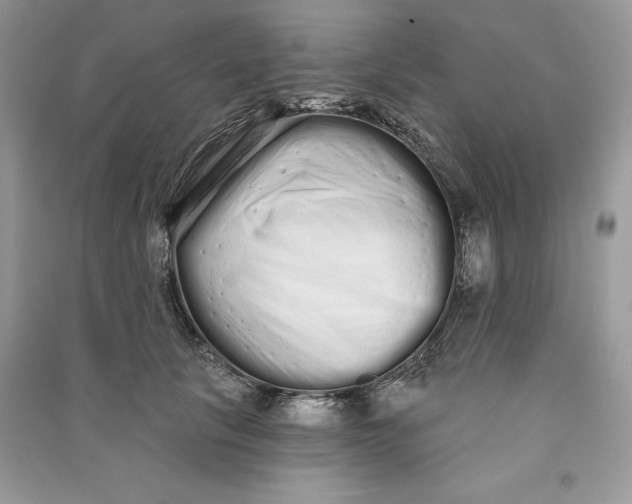 X0000090710657200708101506