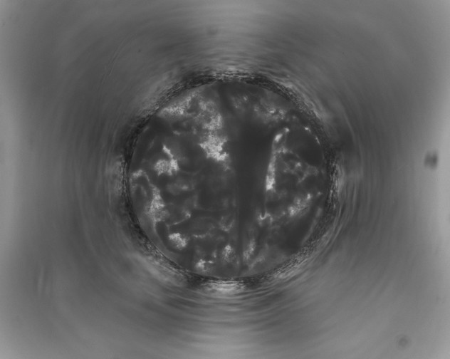 X0000090710659200708101506