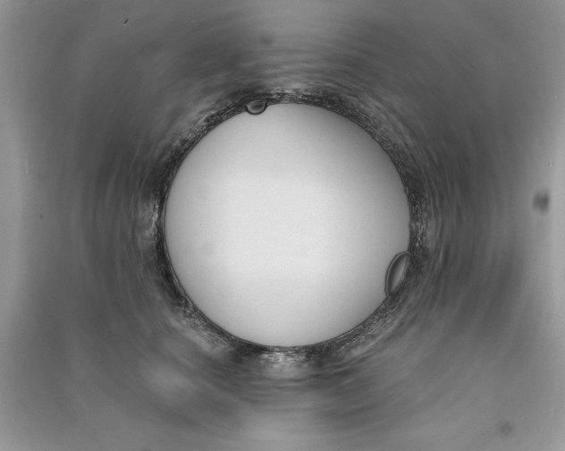 X0000090710660200708101506