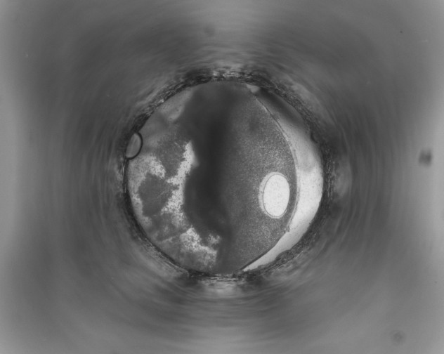 X0000090710661200708101507