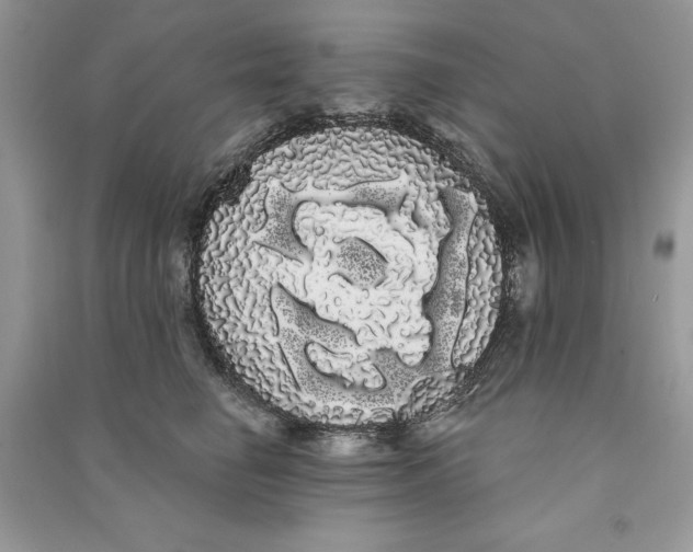 X0000090710662200708101507