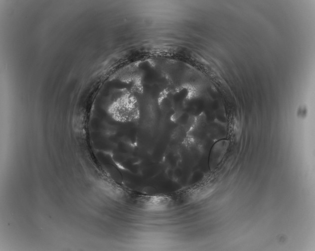 X0000090710663200708101507