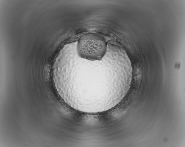 X0000090710664200708101507