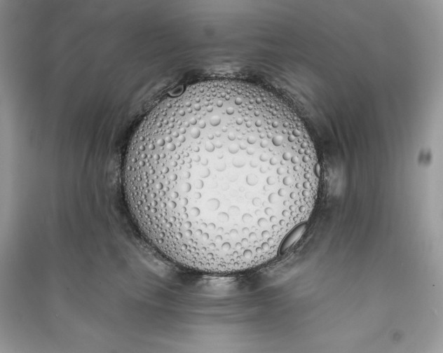 X0000090710665200708101507