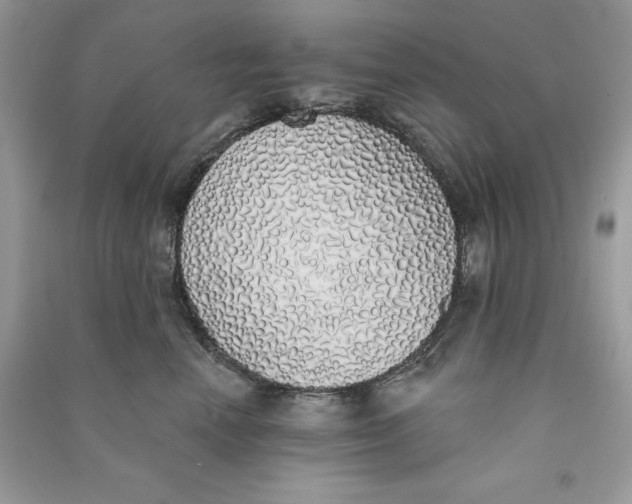 X0000090710666200708101507