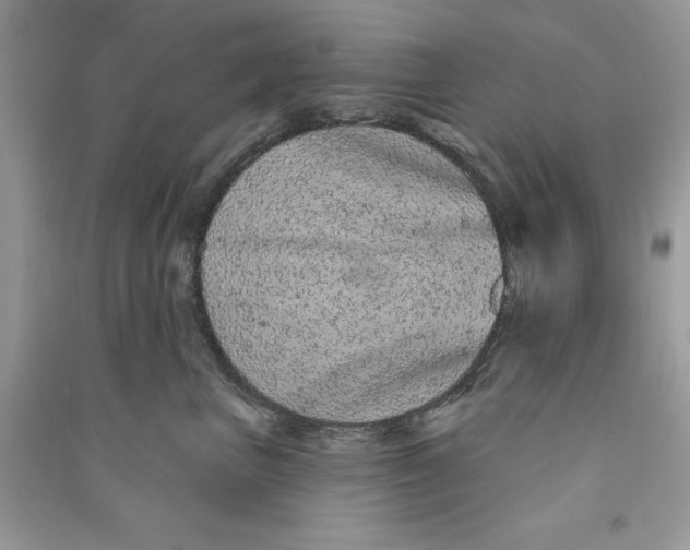 X0000090710667200708101507