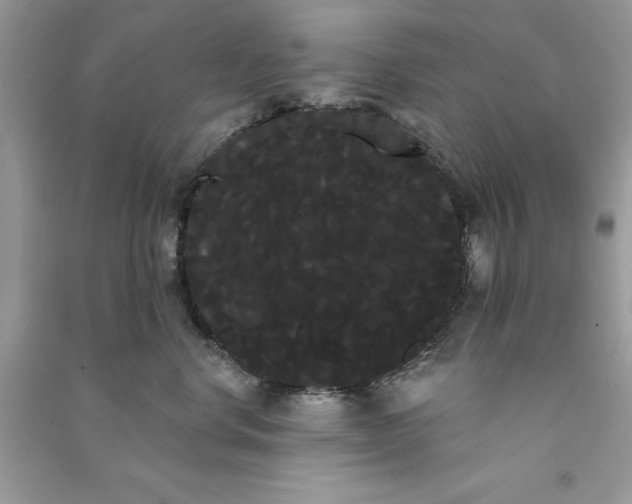 X0000090710668200708101507