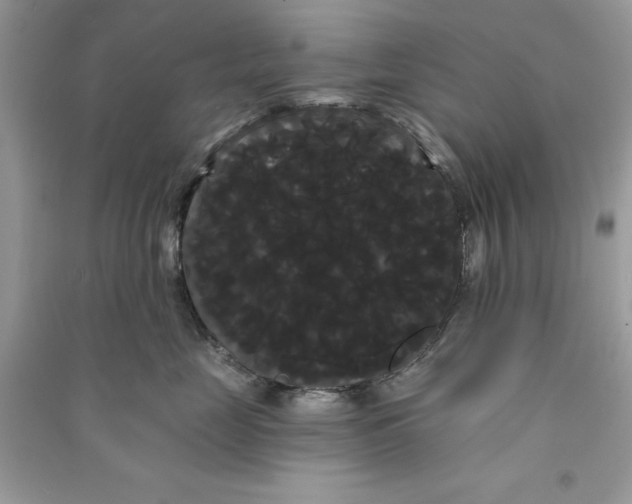 X0000090710669200708101507