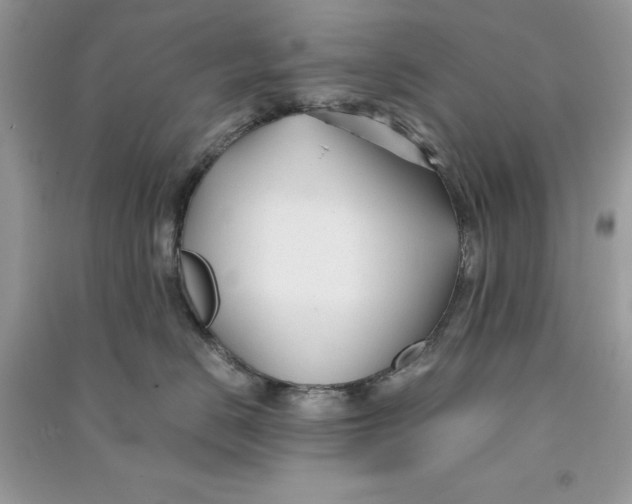 X0000090710670200708101507