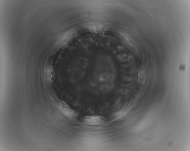 X0000090710671200708101507