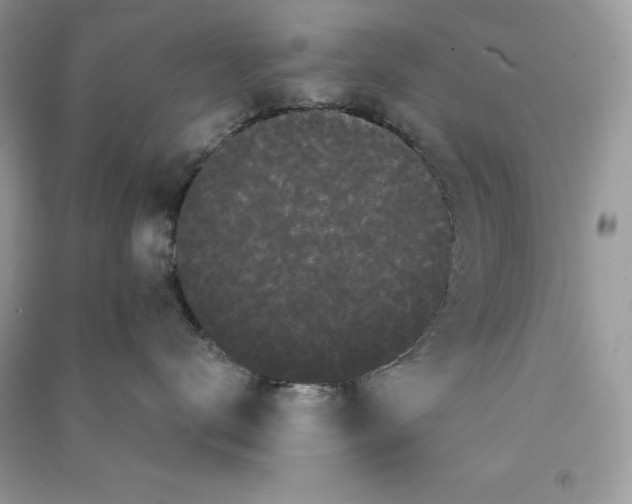 X0000090710672200708101507