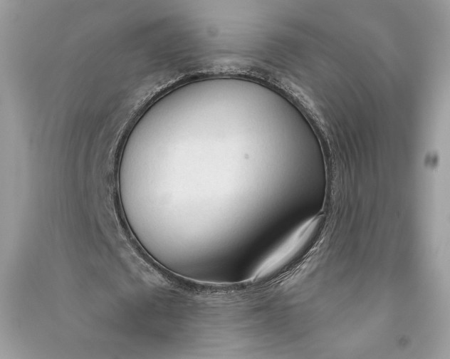 X0000090710673200708101506