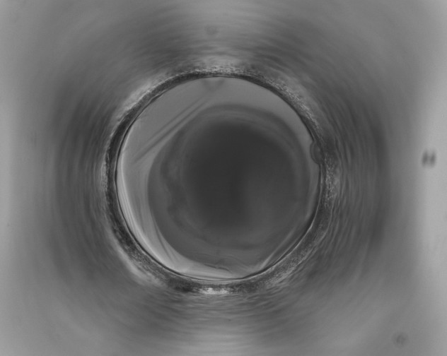 X0000090710674200708101506