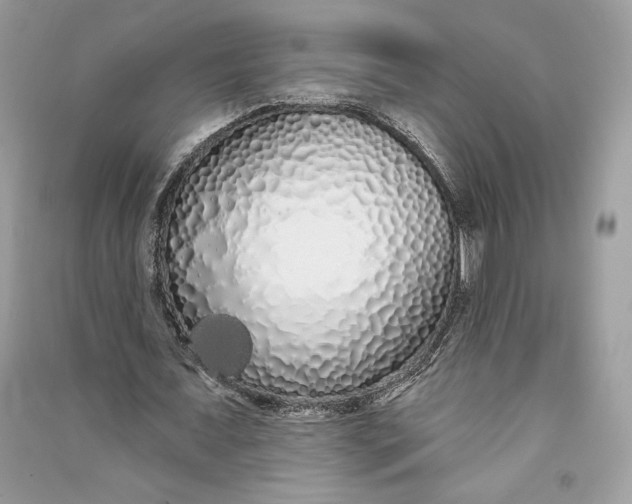 X0000090710675200708101506