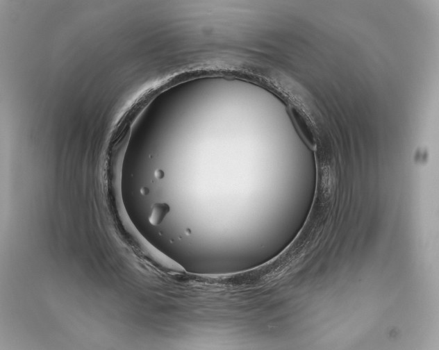 X0000090710676200708101506