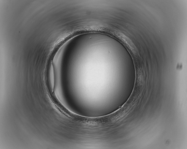 X0000090710677200708101506