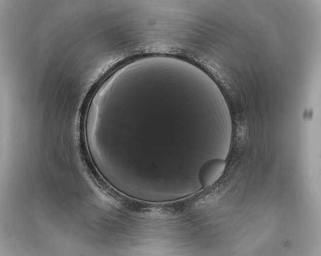 X0000090710678200708101506