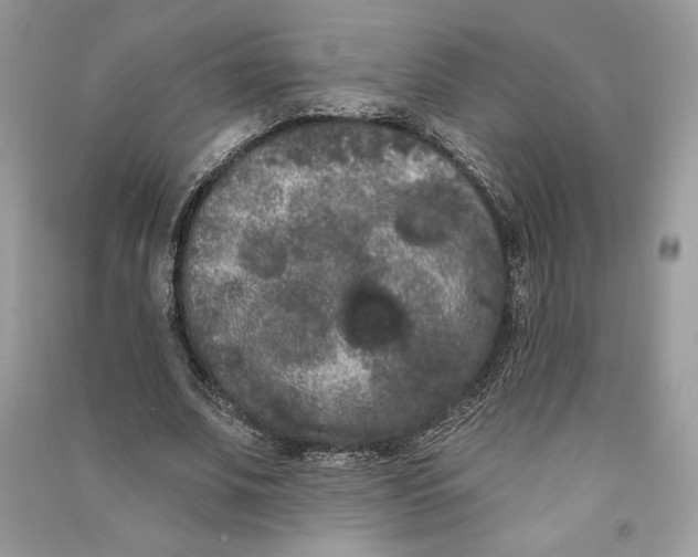 X0000090710679200708101506