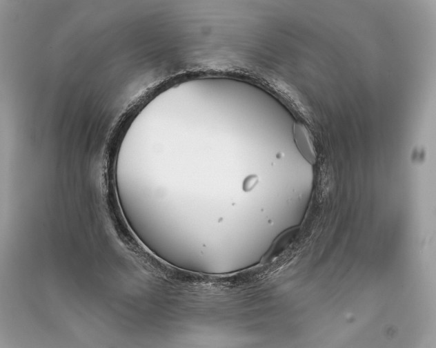 X0000090710680200708101506