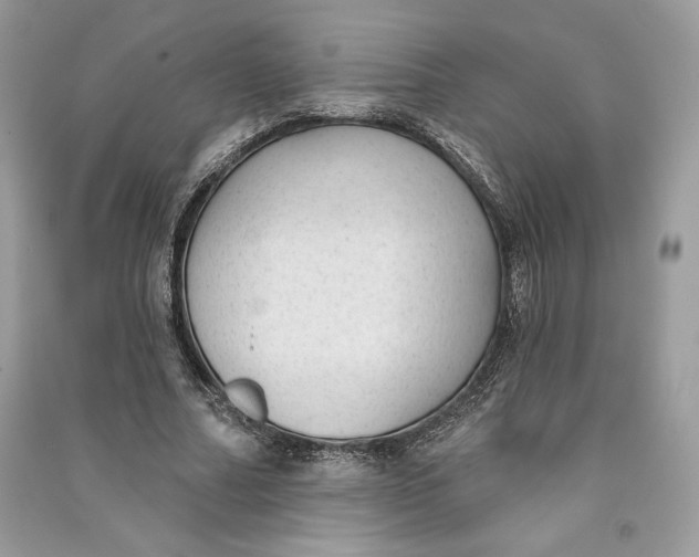 X0000090710682200708101506