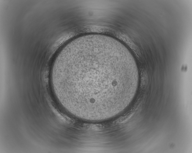 X0000090710683200708101506