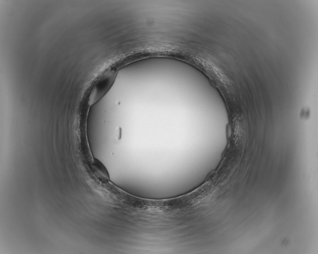 X0000090710684200708101506