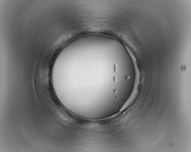 X0000090710685200708101506