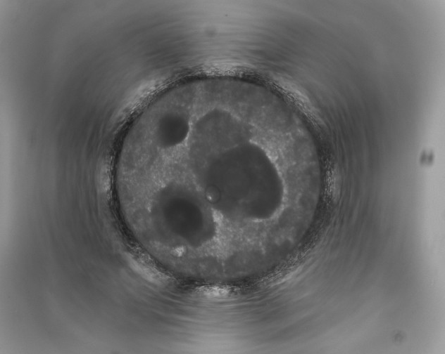 X0000090710687200708101506