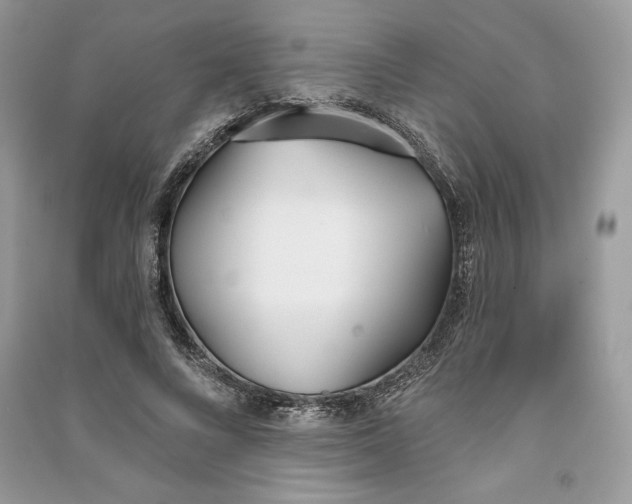 X0000090710688200708101506