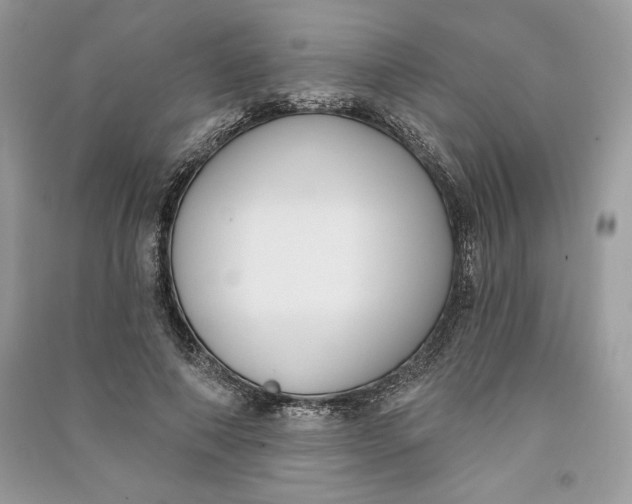 X0000090710690200708101506