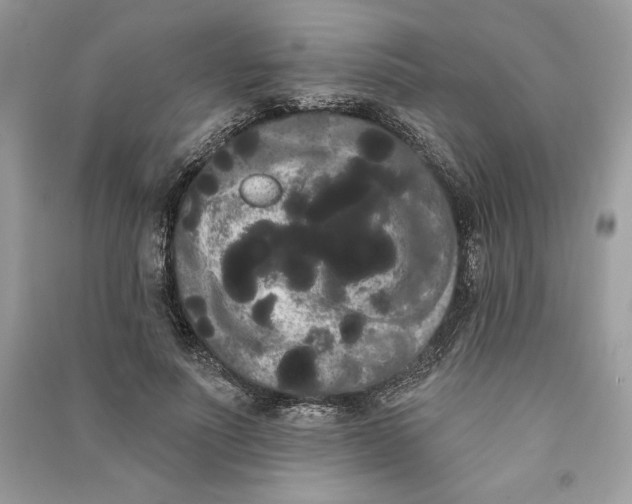 X0000090710691200708101506