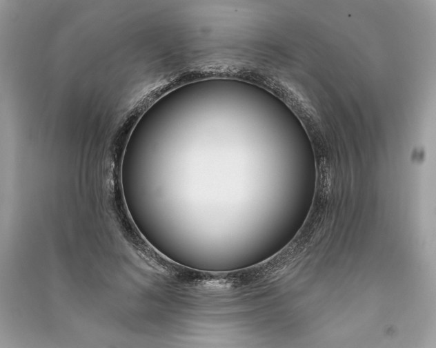 X0000090710692200708101506