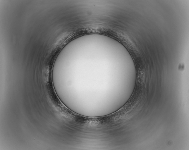 X0000090710694200708101506