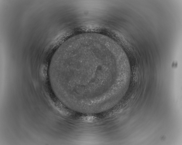 X0000090710695200708101506