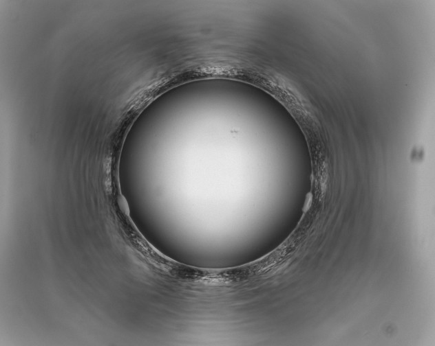 X0000090710696200708101506